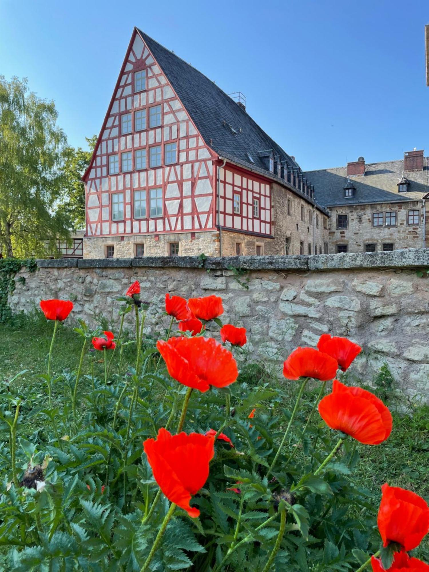 Schloss Beichlingen Ngoại thất bức ảnh